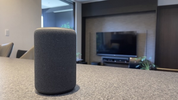 ボイスコマースとは? 声紋認証技術を活用した口頭で完結するECのカタチ