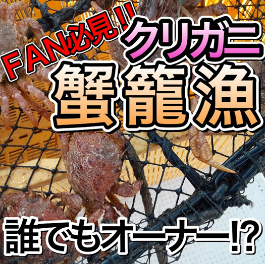 企画色の強い商品で多くの注文を集めた