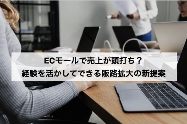 ECモールで売上が頭打ち?経験を活かしてできる販路拡大の新提案