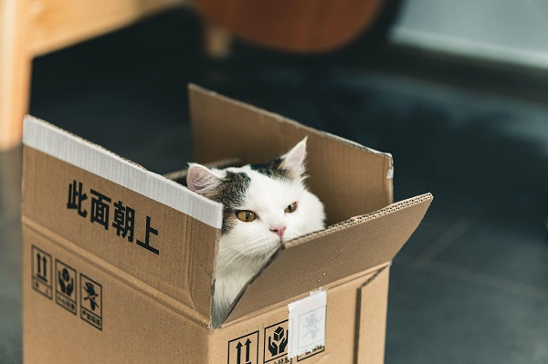 返品マーケティングとは?