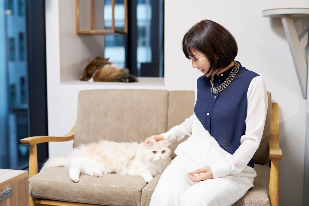 課題解決型の商品開発で猫用品を販売する「nekozuki」 の集客術とは