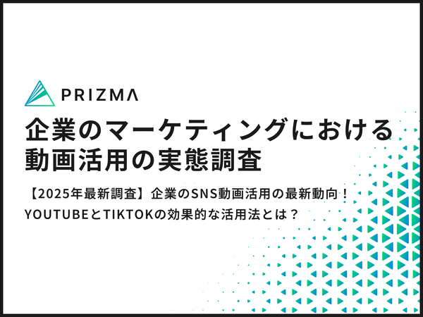 企業のマーケティング動画活用実態調査 YouTubeとTikTokの効果的利用法