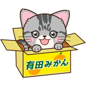 有田 祥岳(Bunta3)氏