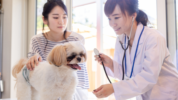 ペットオーナーの57%が「健康を意識したフード選び」に注力、ペット保険加入は35%|ファンくる調査