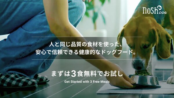 ナッシュ株式会社、愛犬向けフードブランド「nosh DOG」で3食無料トライアルを10月17日より開始