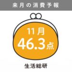 博報堂生活総合研究所が発表、2025年11月の消費意欲指数は46.3点 物価高影響と年末年始の節約意識高まる調査結果