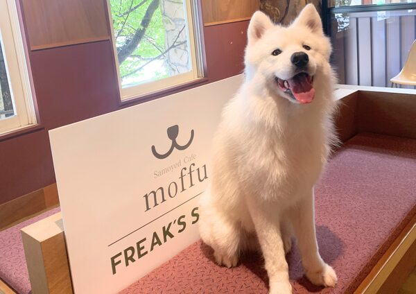 サモエドカフェ「moffu」、The Campとの共同企画で購買数前年比160%を達成！体験を起点とした新しいブランド価値向上モデルの事例