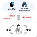 花王、肌評価AI「Kirei肌AI」を大幅アップデート - 肌内部の状態も推定可能な77項目の網羅的評価を実現