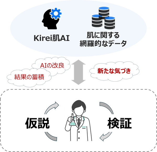 花王、肌評価AI「Kirei肌AI」を大幅アップデート - 肌内部の状態も推定可能な77項目の網羅的評価を実現