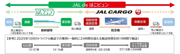 JAL de はこビュン