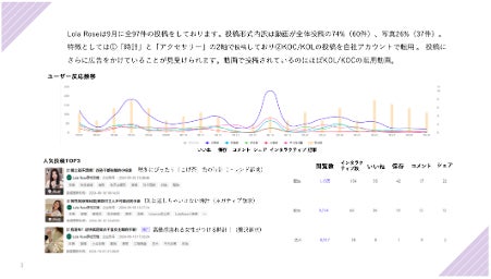 レポートイメージ