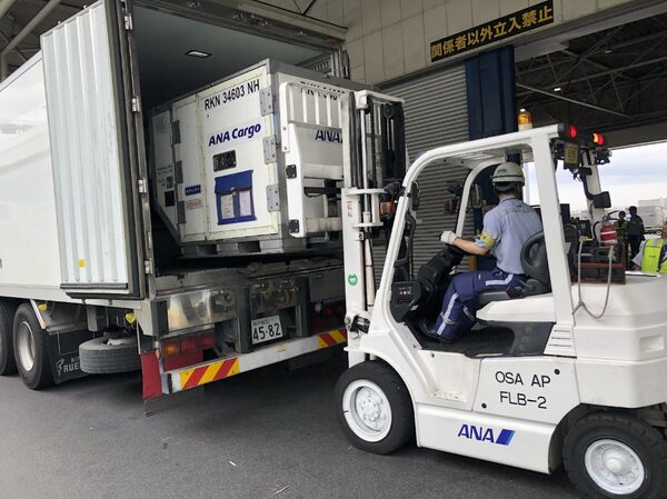 ANAとナッシュ、国内旅客便の空きスペース活用で冷凍食品輸送の効率化と最大557円の送料値下げを実現