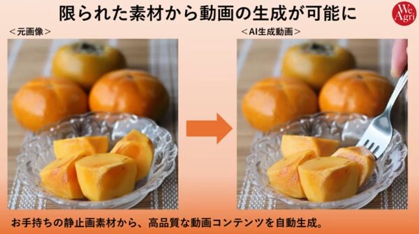 テックファームグループのWeAgri、越境ECサイト向けAI動画・音声生成マーケティングサービスを開始 アジア市場展開を支援