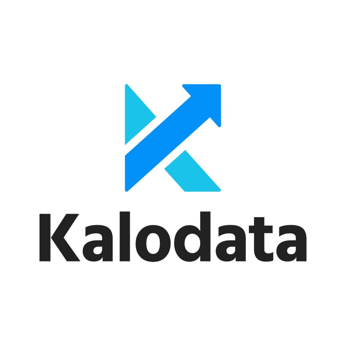Kalodataロゴ