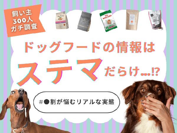 【300人調査】ドッグフード情報収集の実態調査、7割が「ステマ疑念」や「分かりにくさ」に悩む結果が明らかに