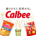 カルビーがTikTok公式アカウントを開設、縦型ショート動画で商品開発秘話や製造工程を発信