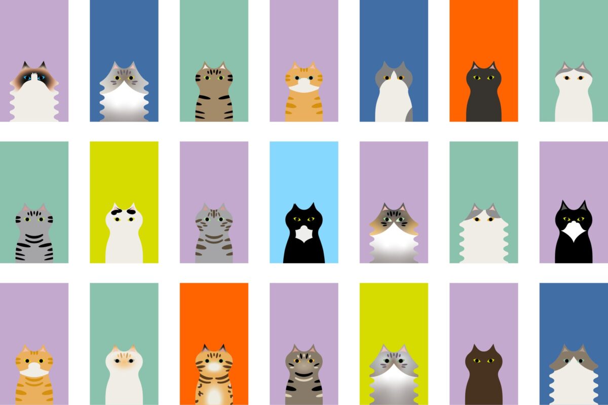 今回は総勢21頭のねこたちをデザイン