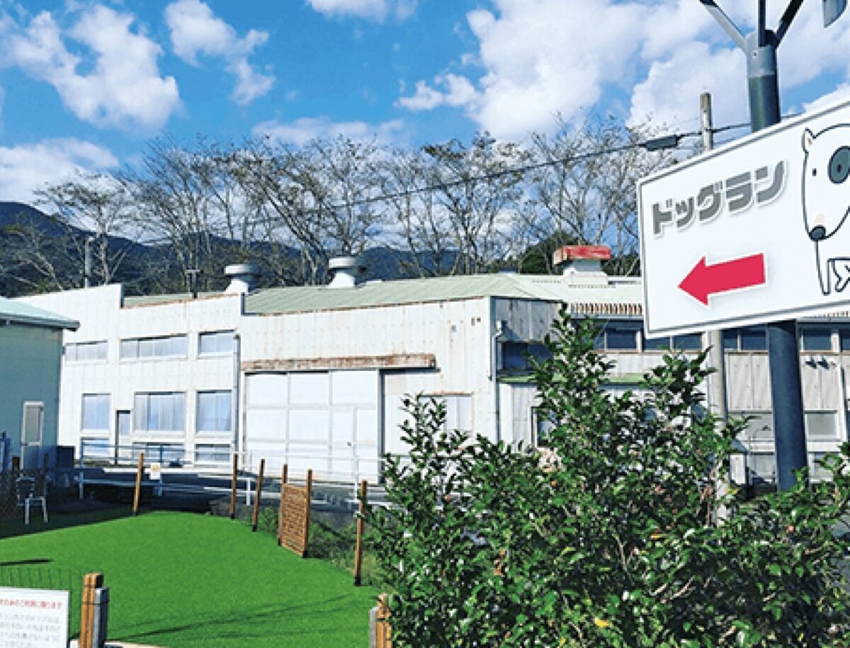 ドッグラン