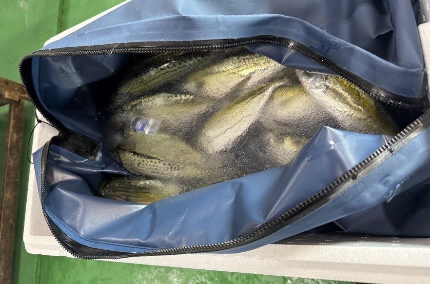 水漏れを防ぐ梱包材