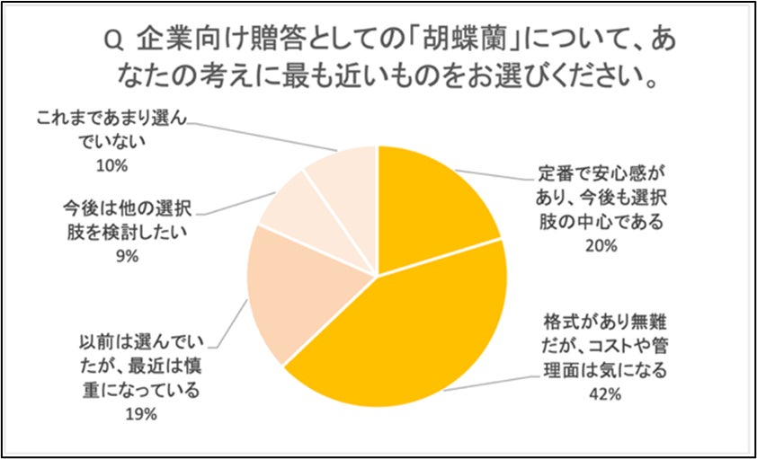 胡蝶蘭は依然、贈答の定番として考えられている