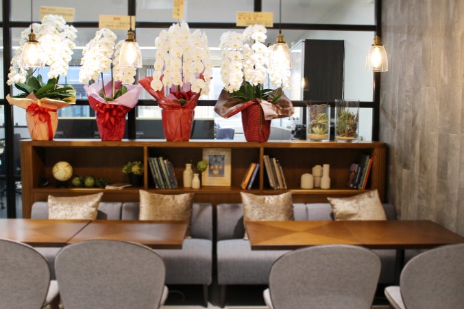 祝い花の代表格「胡蝶蘭」。法人ギフトは転換期に。