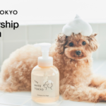 The Mate Tokyoが会員プログラムを開始！年間購入金額で還元率が上がる4段階ランク制度を導入