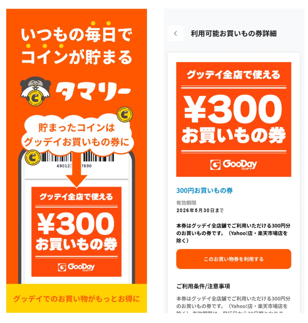 グッデイお買いもの券　一例