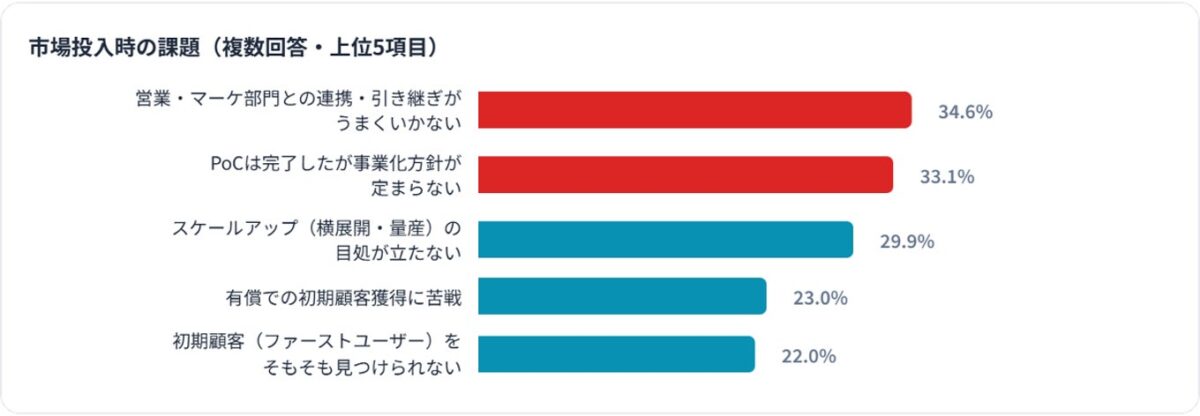 市場投入時の課題（複数回答・上位5項目）