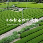 日本抹茶輸出機構が抹茶・碾茶の卸売・輸出サービスを本格始動、80社以上の生産者ネットワークで安定供給を実現