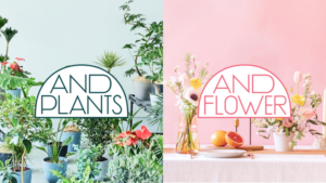 AND PLANTS、花事業を独立ブランド「AND FLOWER」として新展開開始
