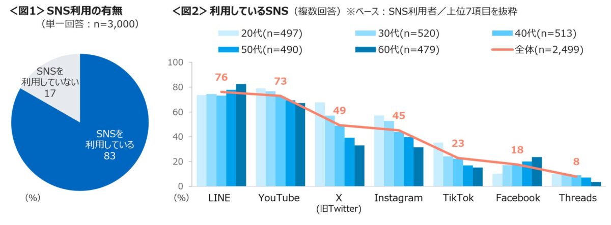 SNS利用状況グラフ