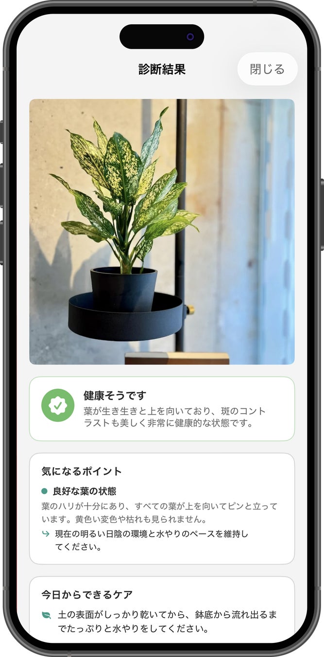 葉の写真を送信するだけでAIが状態を診断