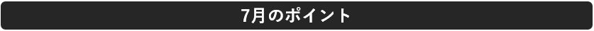 消費意欲指数グラフ