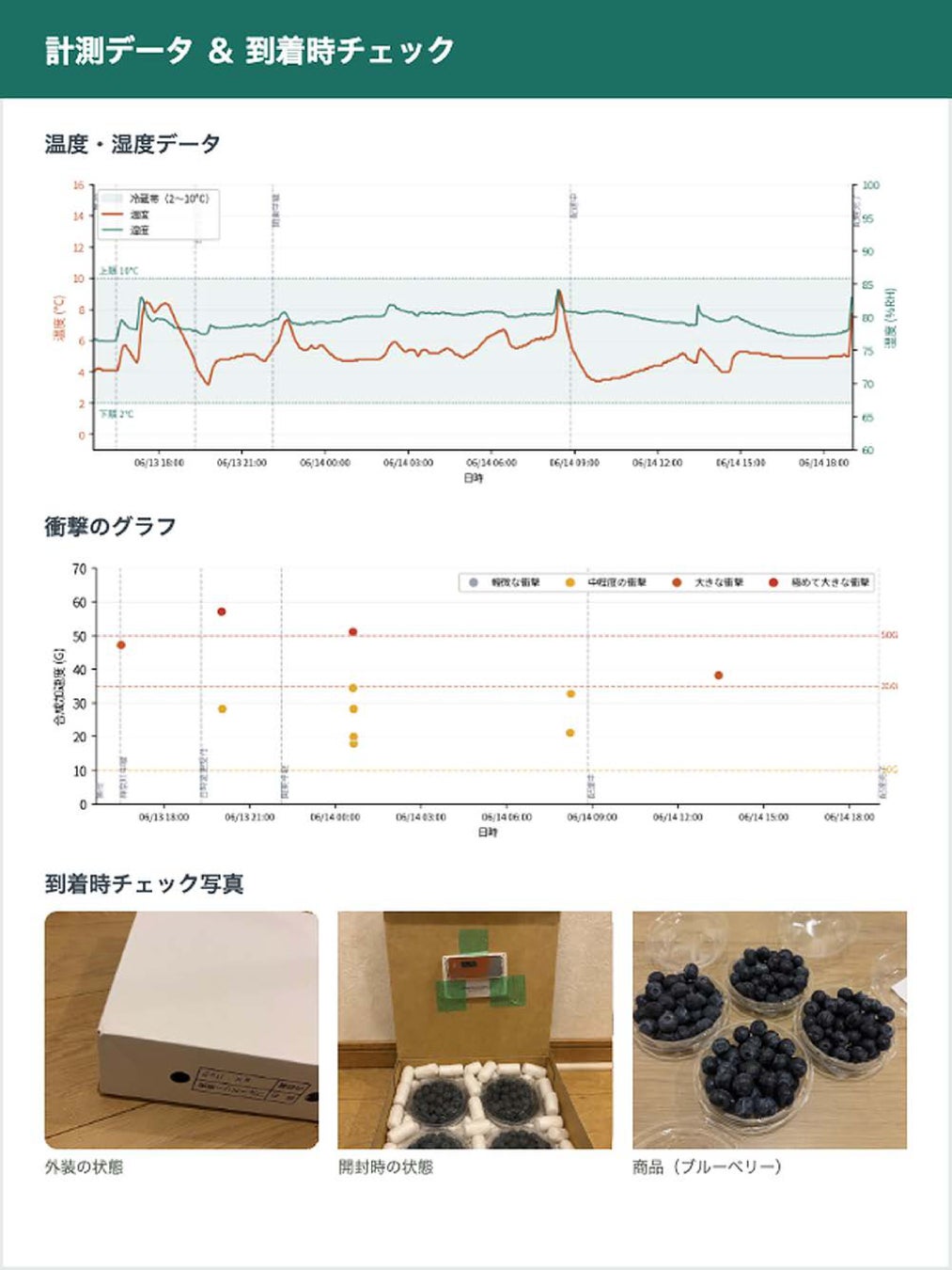 診断レポートイメージ_2